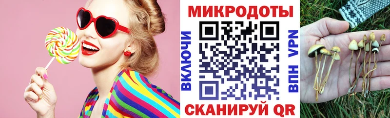 магазин  наркотиков  Меленки  Псилоцибиновые грибы Psilocybine cubensis 